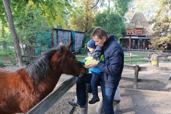 Egy szombat délelőtt a Margit szigeten